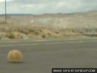 tumbleweed